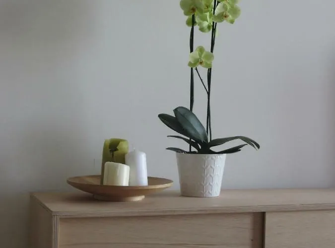 Apartment Venezia Nature&beach